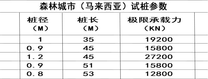 碧桂園森林城市（馬來西亞）項目